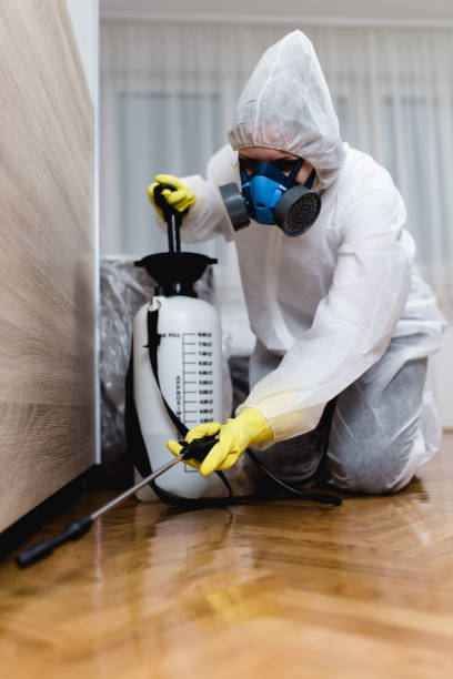 Best Indoor Pest Control  in Vail, CO